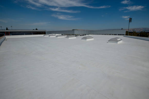 Best Roof Leak Repair  in Ravenna, MI