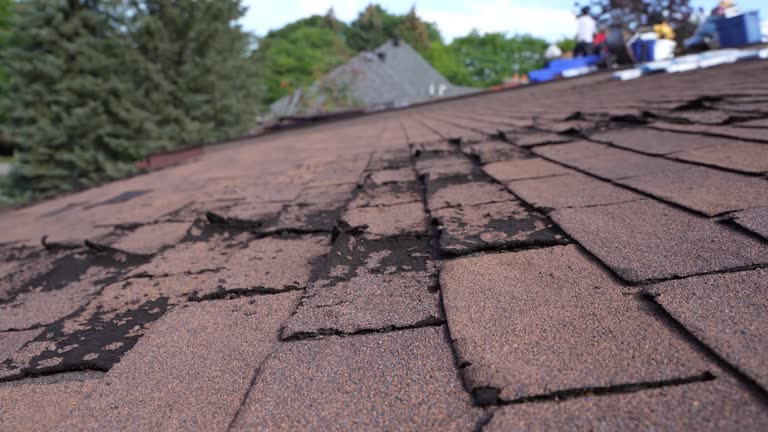 Best Sheet Metal Roofing  in Ravenna, MI
