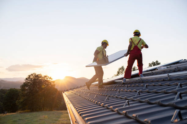 Best Roof Maintenance and Cleaning  in Ravenna, MI