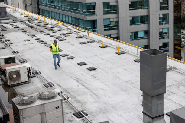Best Roof Coating and Sealing  in Ravenna, MI