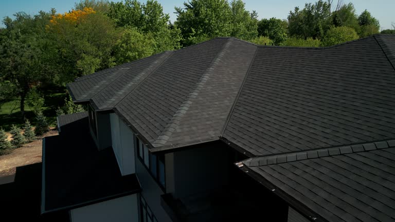 Best Asphalt Shingle Roofing  in Ravenna, MI