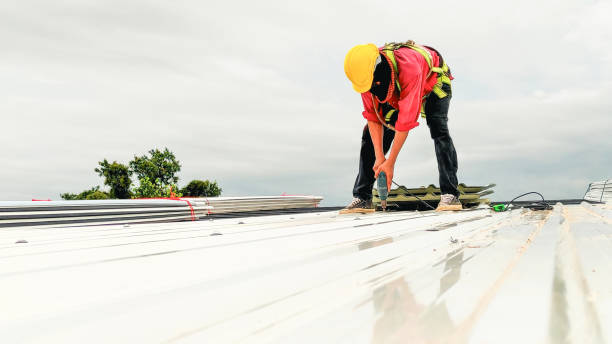 Best 4 Ply Roofing  in Ravenna, MI