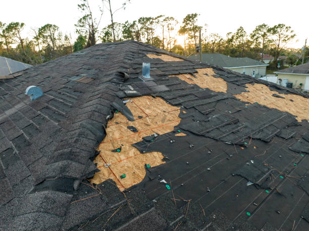 Best Skylight Installation and Repair  in Ravenna, MI
