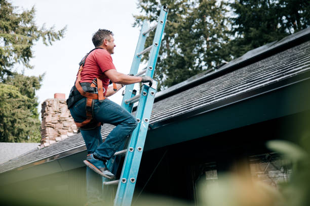 Best Slate Roofing  in Ravenna, MI