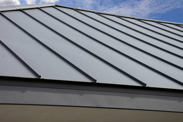 Best Hot Roofs  in Ravenna, MI